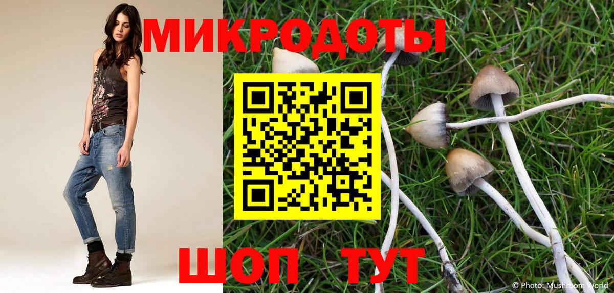 Псилоцибиновые грибы прущие грибы Ликино-Дулёво