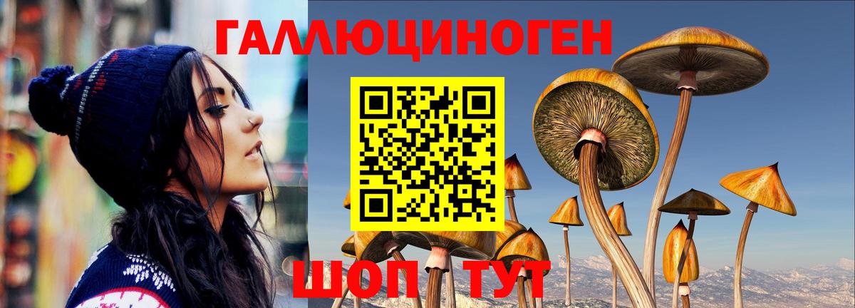 Ликино-Дулёво  Галлюциногенные грибы Psilocybe  Вход с VPN  Галлюциногенные грибы прущие грибы 